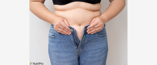 Nutrición y Menopausia con NutriPro: Cómo Combatir la Ganancia de Peso